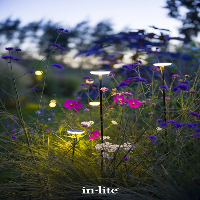 in-lite Sway