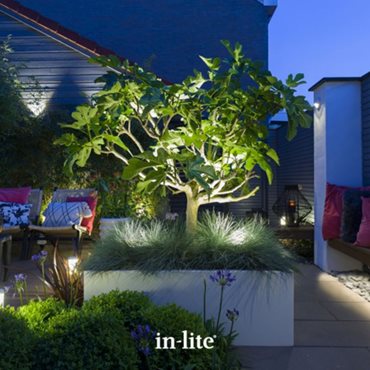 in-lite Scope