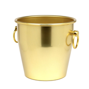 Vinkylare, guld, 4L