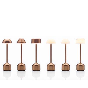 Imagilights Demoiselle tall bordslampa, brons