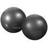 Gymstick Exercise Weight Ball 2 x 1 kg