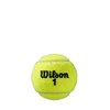 Wilson Roland Garros Clay Court, Tennisballer