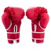 Brute Starter Boxing Gloves