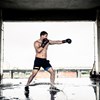 UFC Boxing Training Gloves (Muay Thai Training Gloves)