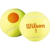 Wilson Starter Orange 48-Pack, Tennisbollar