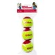 Wilson Starter Red (3-Pack), Tennisballer