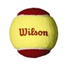 Wilson Starter Red (3-Pack), Tennisbollar