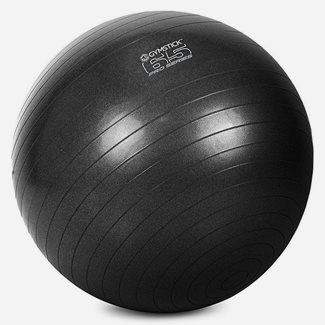 Gymstick Pro Exercise Ball