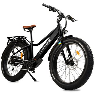 RAWBIKE URBAN, Elcykel