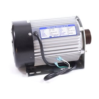 Impulse Motor Rt700