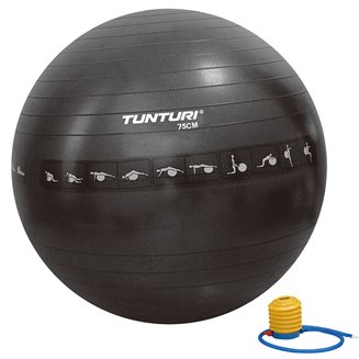 Tunturi Fitness Gymball Anti Burst, Gymball