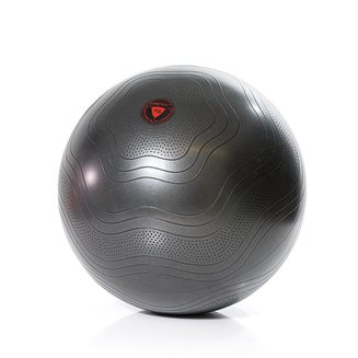 Gymstick Exercise Ball, Gymball