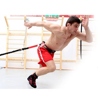 Suples Hirts Strong 2:1, Puolapuut