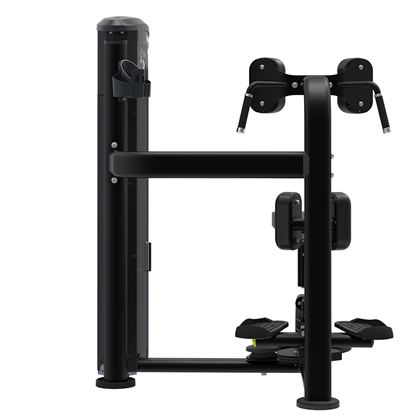 Impulse Torso Rotation It9518, Styrkemaskin Rygg