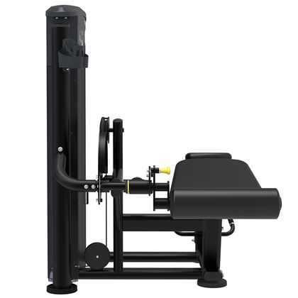 Impulse Prone Leg Curl IT9521, Kuntosalilaitteet - Jalat