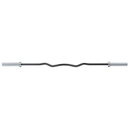 Master Fitness Curlbar Long, Curlstang