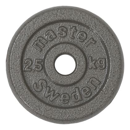 Master Fitness Skolvikt 25 mm, Viktskivor järn