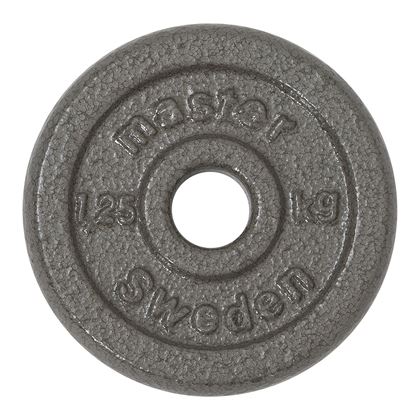 Master Fitness Skolvikt 25 mm, Viktskivor järn
