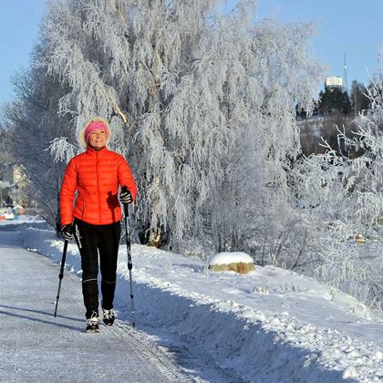 BungyPump Walkathlon Gåstav, Gångstavar