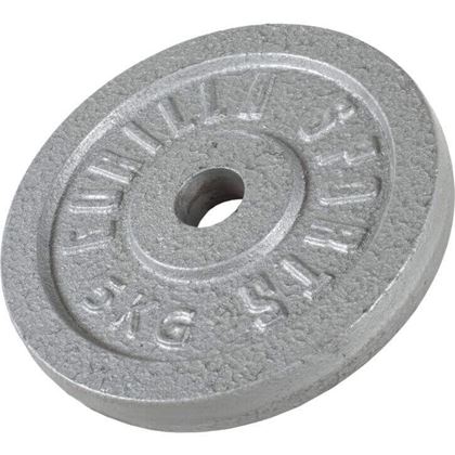 Gorilla Sports IRON Silver, Viktskivor järn
