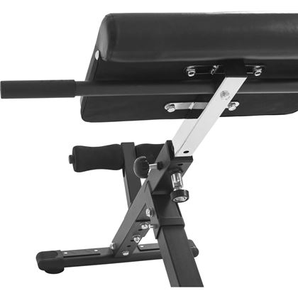 Gorilla Sports Hyperextensions-bänk rygglyftsbänk - Hopfällbar