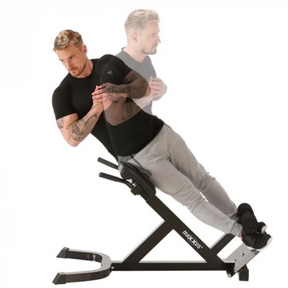 MAXXUS Hyper extension, Ryggbenk