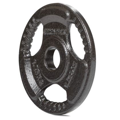Gymstick Iron Weight Plate 30 mm, Vektskiver Jern