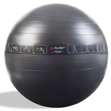Pure2Improve Exercise Ball, Gymball