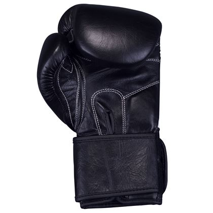 Hammer Boxing Gloves Premium Training, Boksehansker