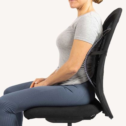 Swedish Posture BACK REST Svankstöd, Ryggstöd & skydd
