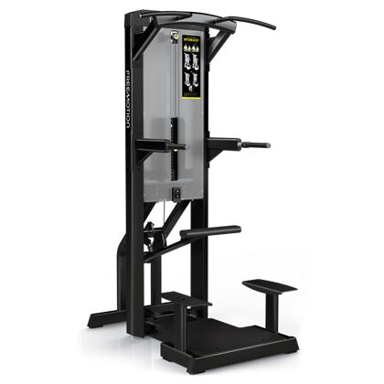 Freemotion Selectorized Weight Assist Dip Chin, Dipstativ