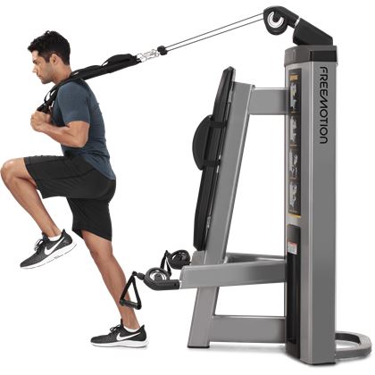 Freemotion Genesis Ds Abdominal / Biceps, Styrkemaskiner - Multi