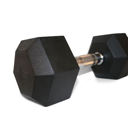 Titan Life PRO Hex Dumbbell Rubber