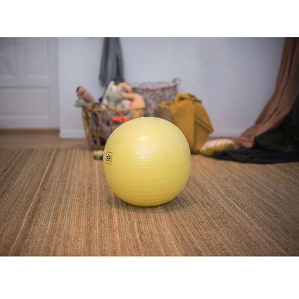 Abilica GymBall, 45 cm, Gymball