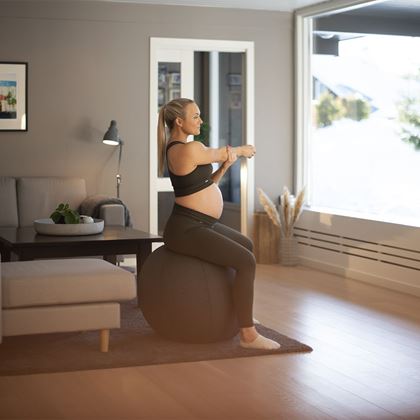 Abilica FitnessBall Cover, Gymboll