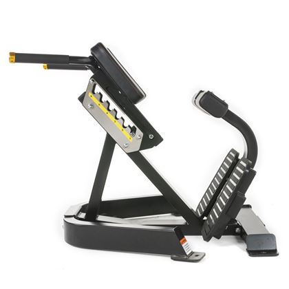 Thor Fitness Back Extension, Ryggbenk