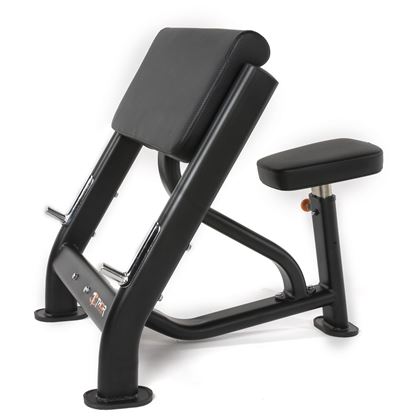 Thor Fitness Scott Bench, Curlbenk
