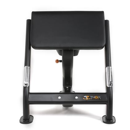 Thor Fitness Scott Bench, Curlbenk