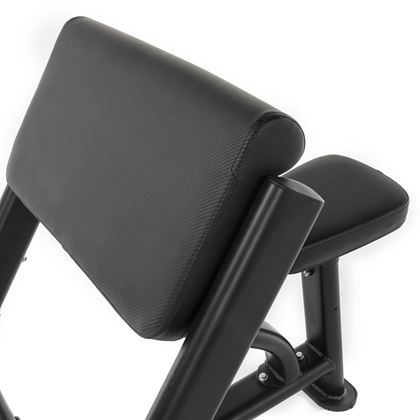 Thor Fitness Scott Bench, Curlbenk