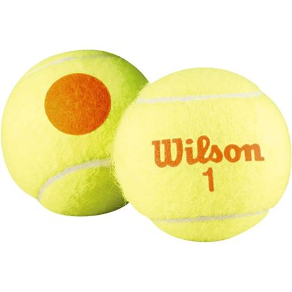 Wilson Starter Orange 48-Pack, Tennisballer