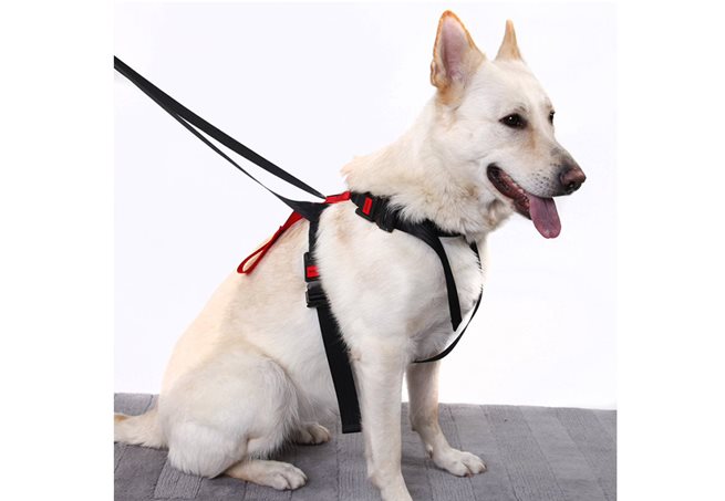 Artfex Dog Harness Large hundsäkerhetsbälte