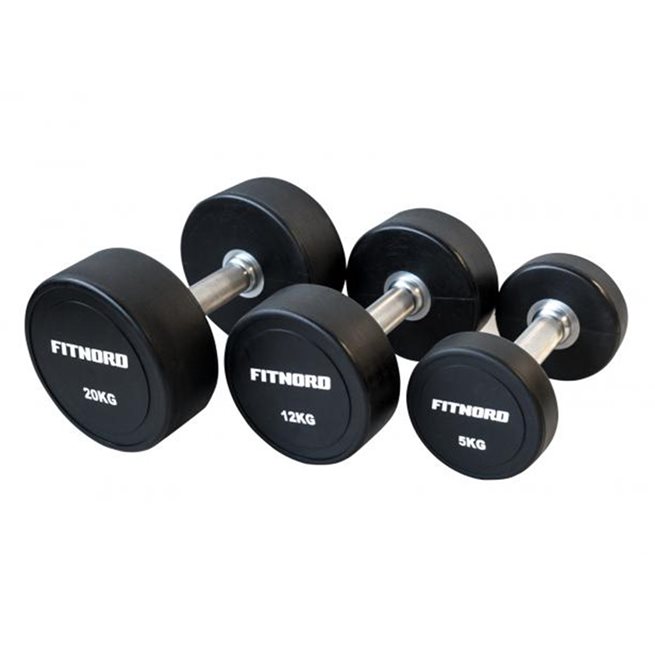 FitNord PU dumbbell (pair)