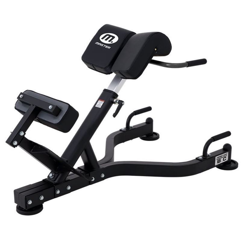 Master Fitness BX20, Ryggbenk