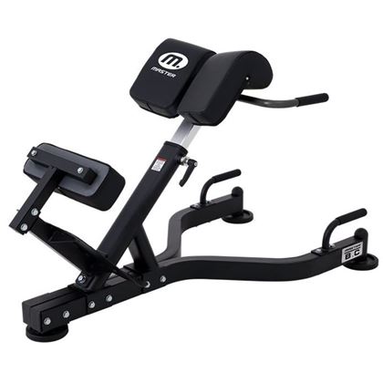 Master Fitness BX20, Ryggbänk
