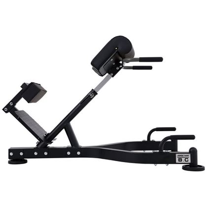 Master Fitness BX20, Ryggbänk