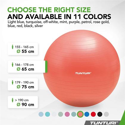 Tunturi Fitness Gymball, Anti Burst, Gymboll