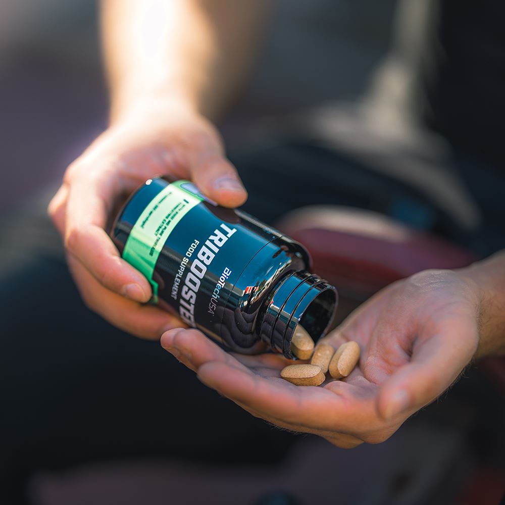 Alternativ bild 1 för Tribooster, 60 tabletter, BioTech USA