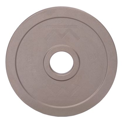 Kraftmark Steelplate, Viktskivor Järn