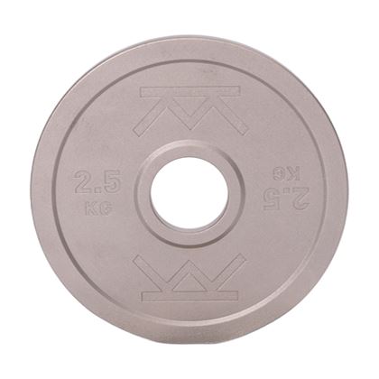 Kraftmark Steelplate, Viktskivor Järn