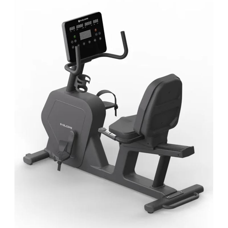 Skelcore SK Recumbent Bike, Motionscykel